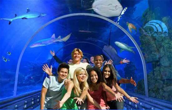 Grand aquarium d'Hurghada